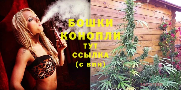 альфа пвп Бородино