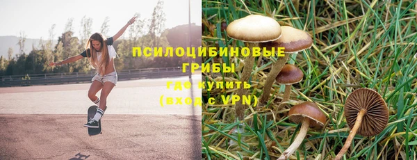 альфа пвп Бородино