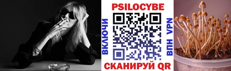 Купить где  Десногорск  Галлюциногенные грибы Cubensis 