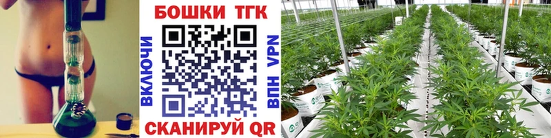 Купить где  Десногорск  МАРИХУАНА SATIVA & INDICA 